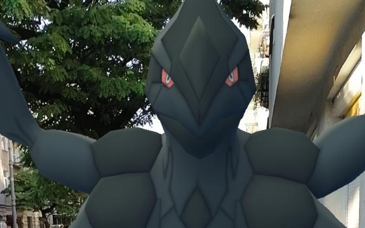 Zbiórka Go fest - zdjęcie główne