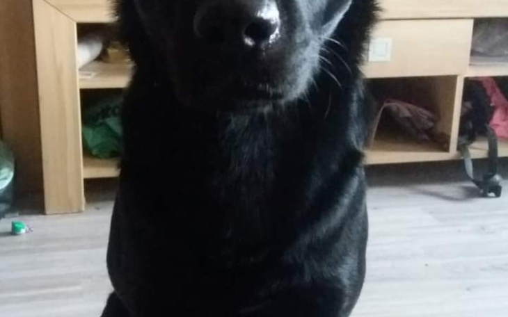 Zbiórka zbieramy na wyprawkę - zdjęcie główne