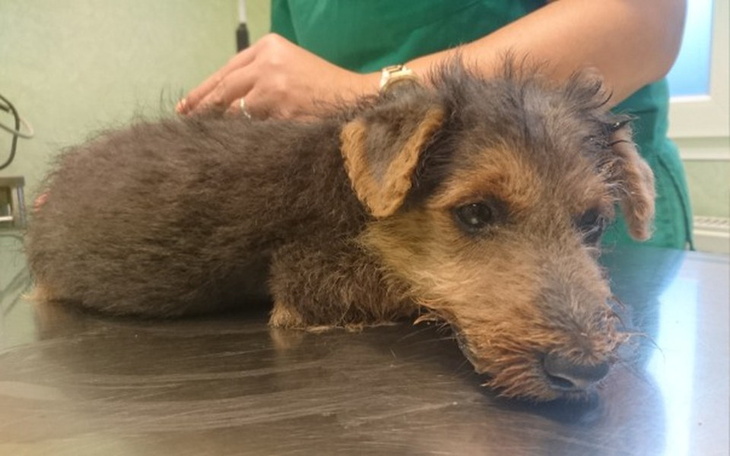 Zbiórka NN- nic nieznaczące/niepotrzebne - zdjęcie główne