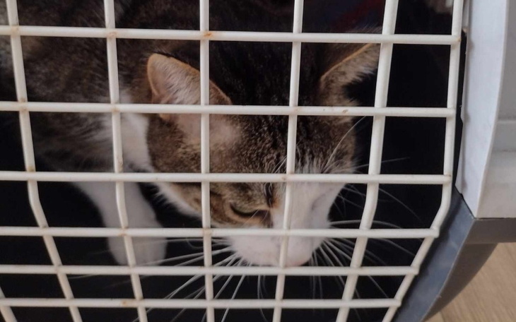 Zbiórka Usunięcie chorych ząbków - zdjęcie główne