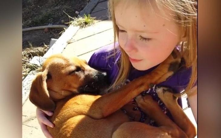 Zbiórka Dla mamy z dziećmi i pieskiem - zdjęcie główne