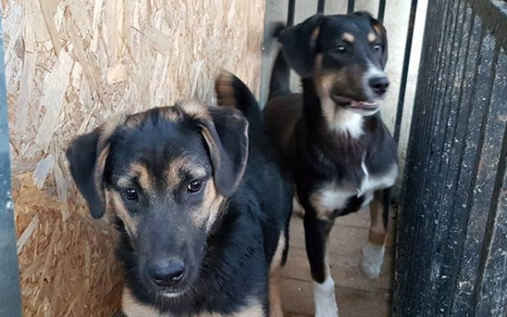 Zbiórka Tajko i Bono, Bono i Tajko :) - zdjęcie główne