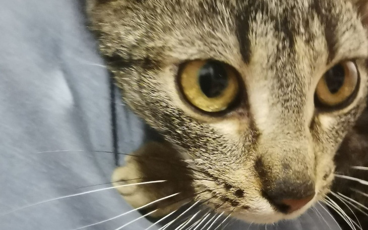 Zbiórka Ratujemy Anulkę - zdjęcie główne