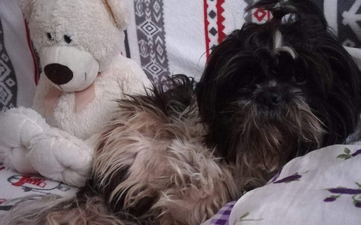 Zbiórka Nie chcę czuć bólu - zdjęcie główne