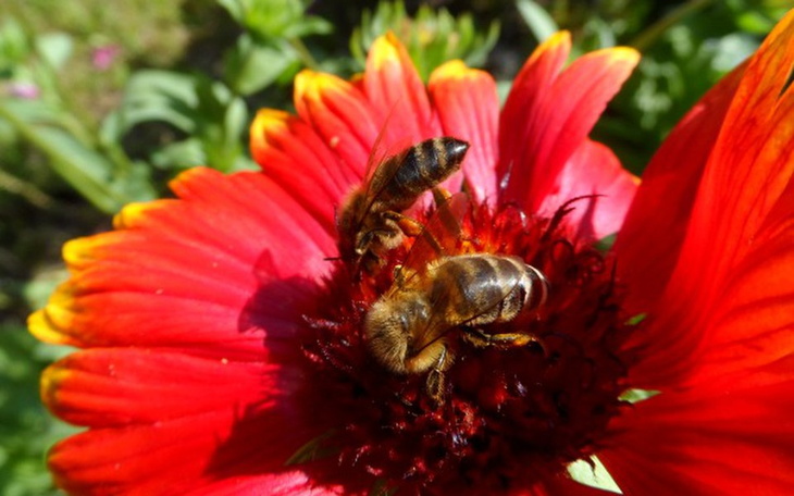 Zbiórka Marzenia o fotografii - zdjęcie główne