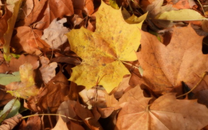 Zbiórka Marzenie - kurs fotograficzny - zdjęcie główne