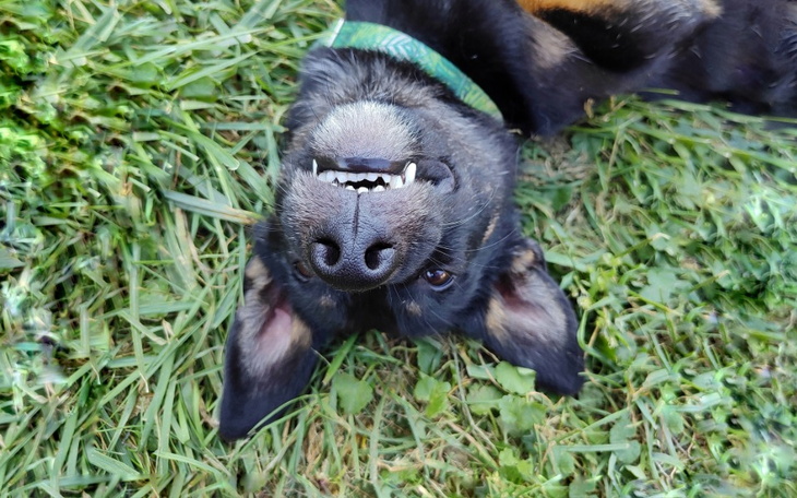 Zbiórka Zbiórka dla Luisa - zdjęcie główne