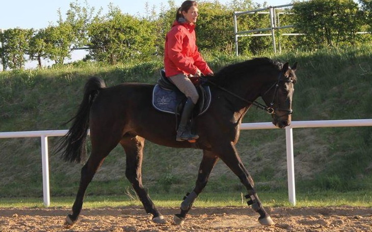 Zbiórka Powrót do formy - zdjęcie główne