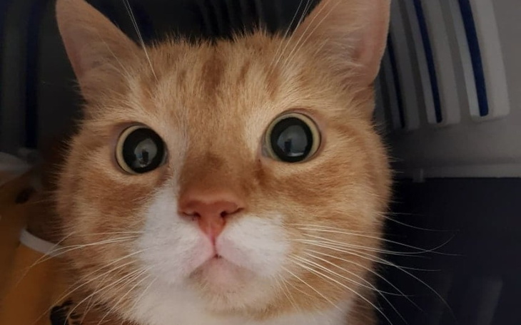 Zbiórka Przegraliśmy byłeś dzielny Ruduś - zdjęcie główne