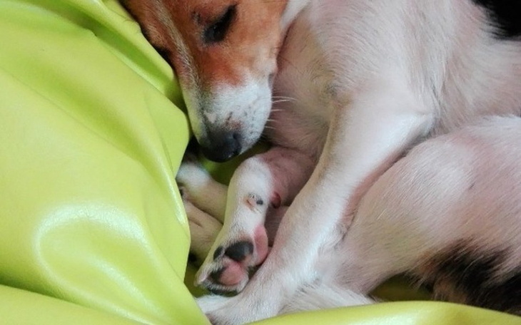 Zbiórka Lunonkowa Zbiórka - zdjęcie główne