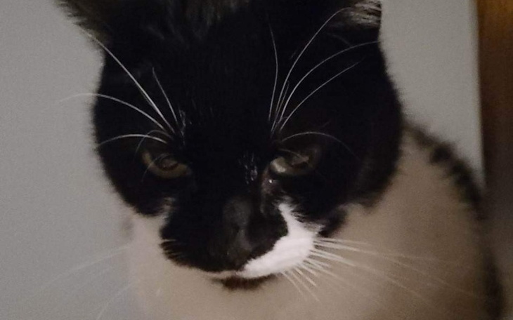 Zbiórka Na pomoc Boniemu - zdjęcie główne