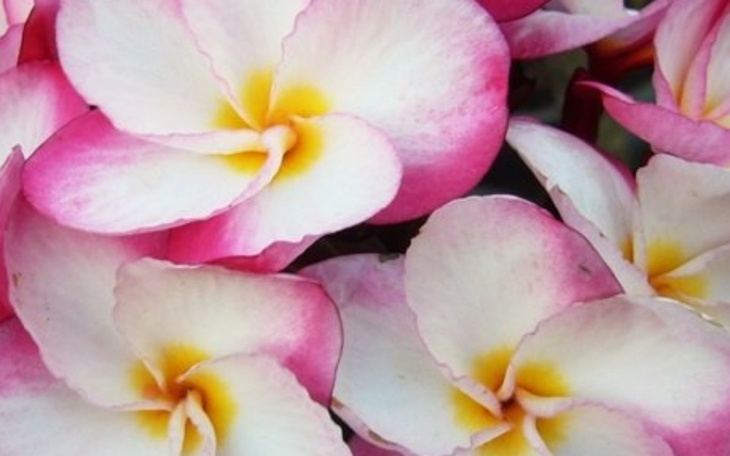 Zbiórka 344 - zdjęcie główne