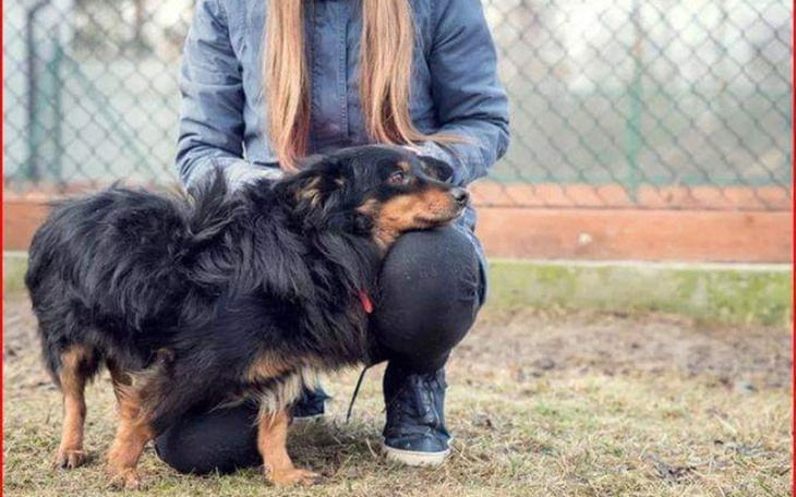 Zbiórka Pomóż dojechać mi do DOMU🙏🙏-ŻW - zdjęcie główne