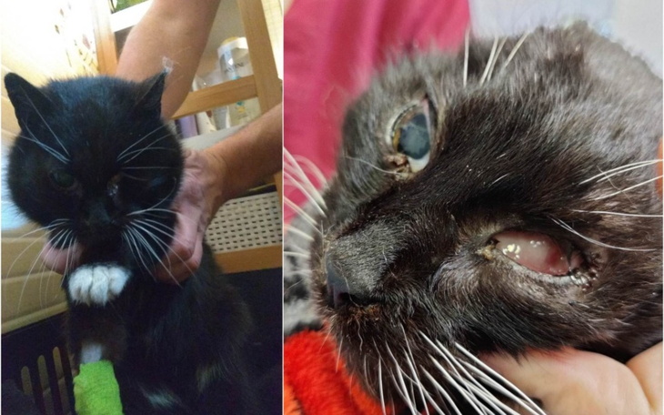 Zbiórka Ratujemy wyniszczoną Drobinkę - zdjęcie główne