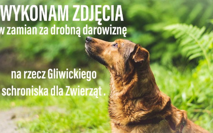 Zbiórka Walentynkowa zbiórka! ❤️ - zdjęcie główne