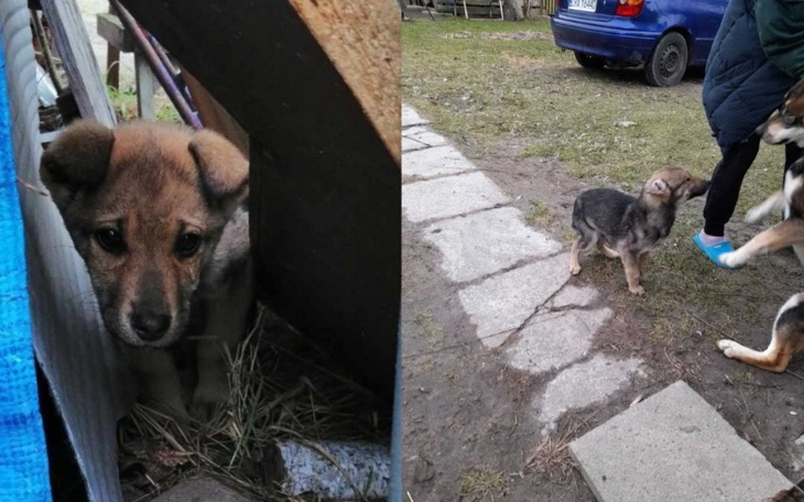 Zbiórka Porozrzucane po wsiach - zdjęcie główne