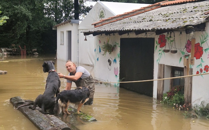 Zbiórka Uratujmy ,,Dębowy Zakątek - zdjęcie główne