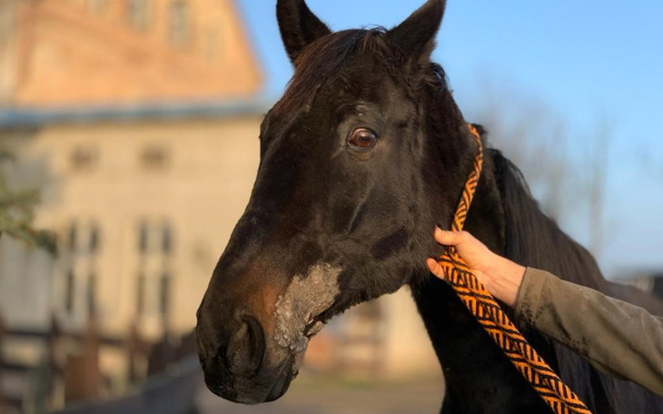 Zbiórka Ludzie się jej brzydzą. Pomóż - zdjęcie główne
