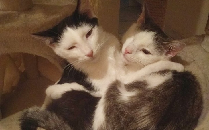 Zbiórka Ratujmy Jacka dla brata Placka - zdjęcie główne