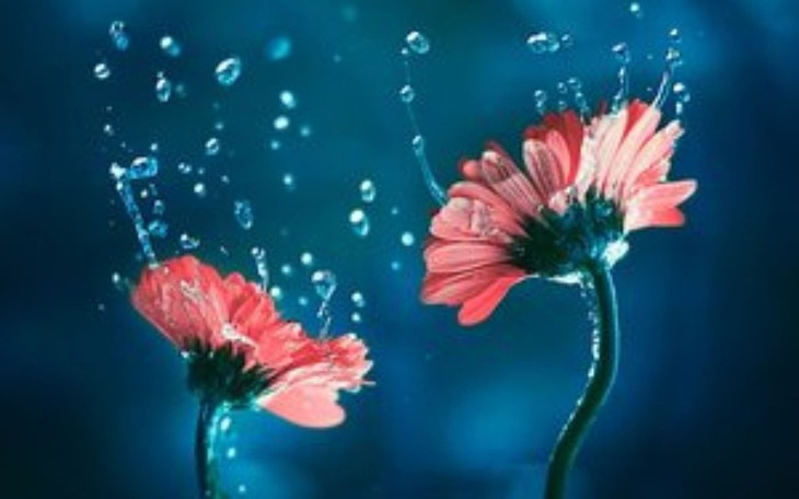 Zbiórka Wnuczka Szuka Pilnej Pomocy - zdjęcie główne