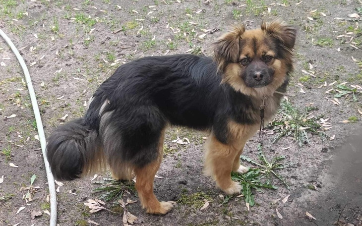 Zbiórka Wyrzucony jak śmieć na serio - zdjęcie główne