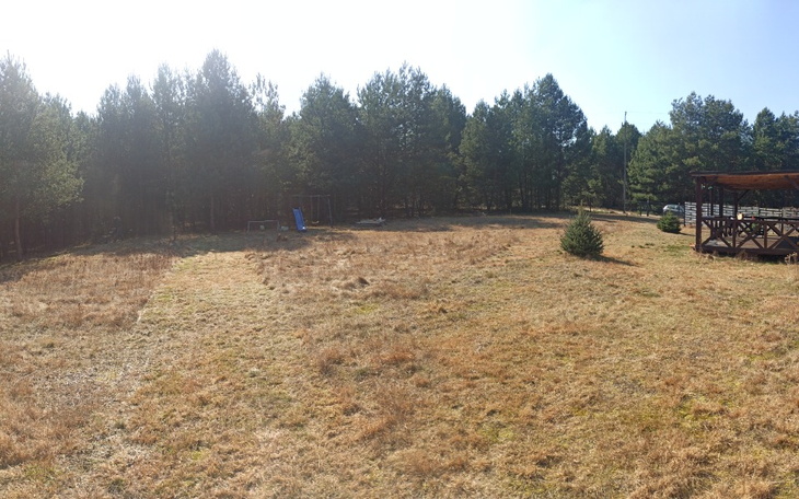 Zbiórka Budowa domku na hotelik dla psów - zdjęcie główne