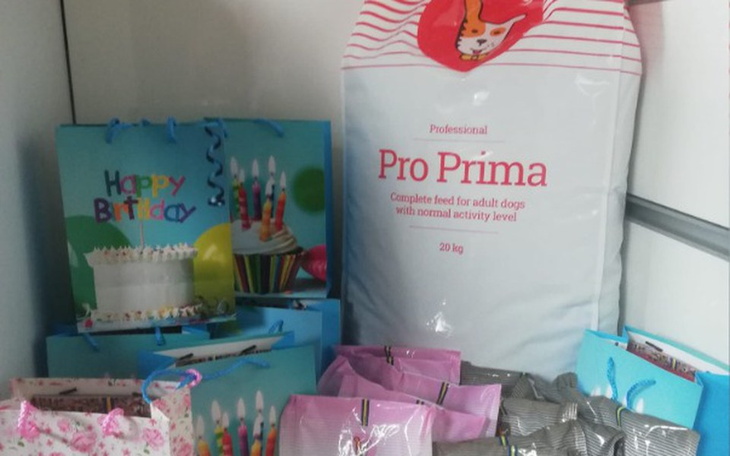 Zbiórka Pomoc Wolsztyńskim Bezdomniakom - zdjęcie główne