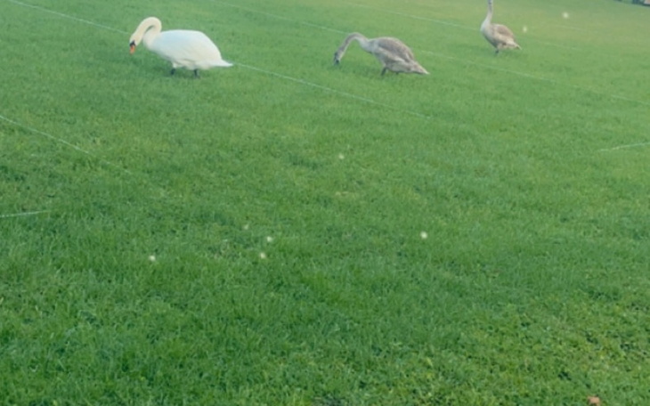 Zbiórka Na życie w tych ciężkich czasach - zdjęcie główne
