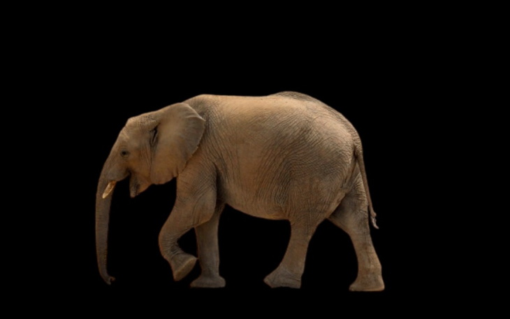 Zbiórka cel charytatywny bardzo wazny - zdjęcie główne