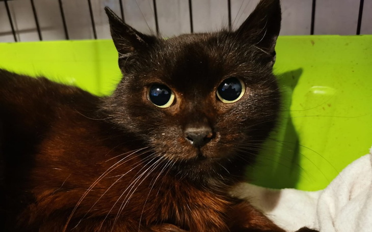 Zbiórka By w końcu móc oddychać - zdjęcie główne