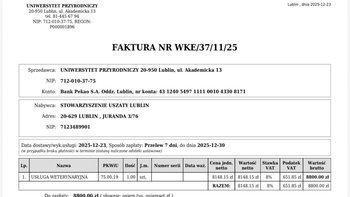 Zbiórka Faktura ponad możliwości - miniaturka zdjęcia