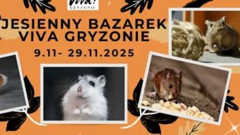 Zbiórka Jesienny bazarek Viva Gryzonie - miniaturka zdjęcia