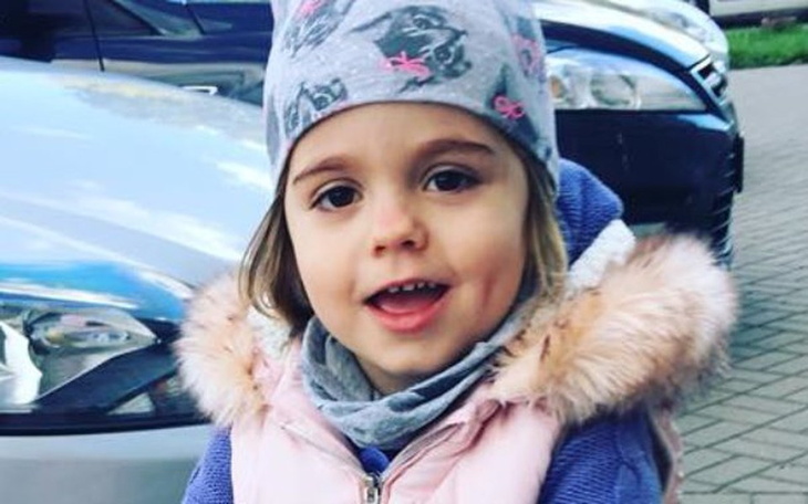 Zbiórka Misia - zdjęcie główne