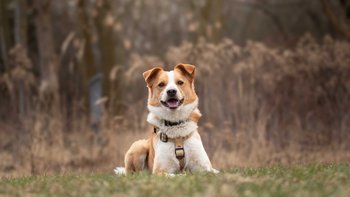 Zbiórka Kup im kolejny dzień życia - miniaturka zdjęcia