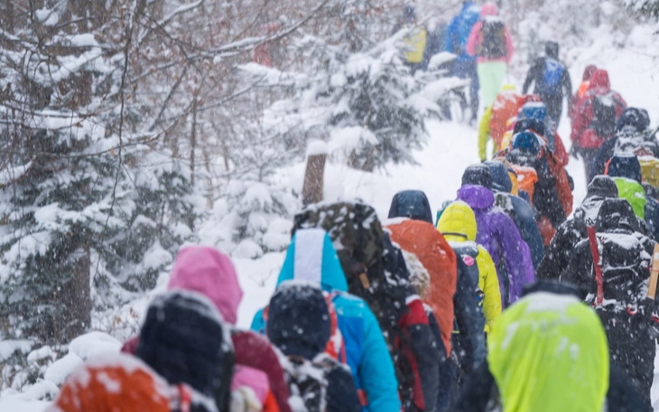 Grupa turystów w kolorowych kurtkach w zimowym lesie.