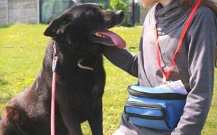 Zbiórka Badania Kleksa z Korabek - zdjęcie główne