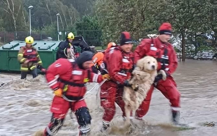 Zbiórka Pomoc dla ofiar powodzi 09.24 - zdjęcie główne