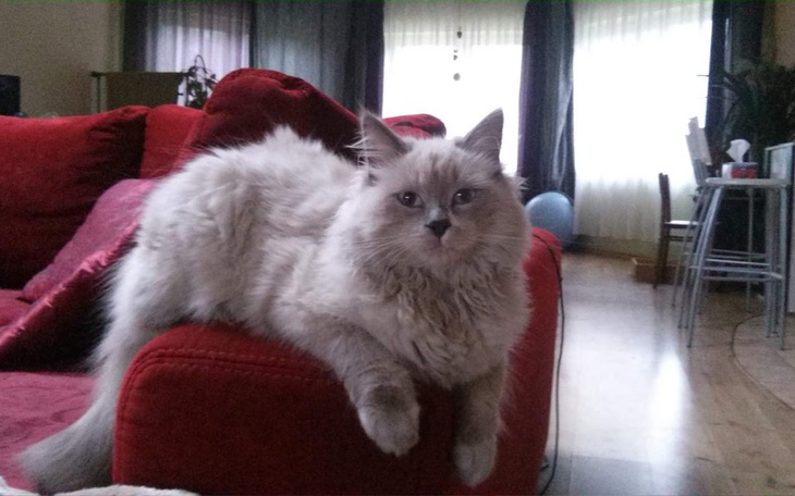 Zbiórka Zbieramy na Leczenie , dla Lolka - zdjęcie główne