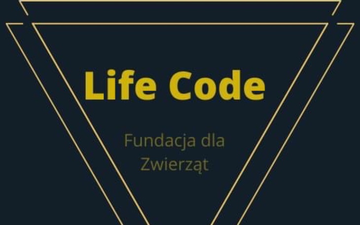 Zbiórka Mikołajki dla Futrzastych - zdjęcie główne