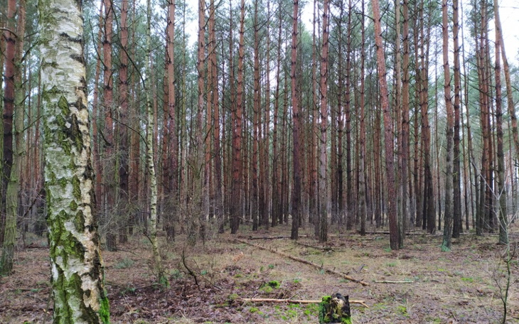 Zbiórka Mobilne stanowisko pomiarowe - zdjęcie główne