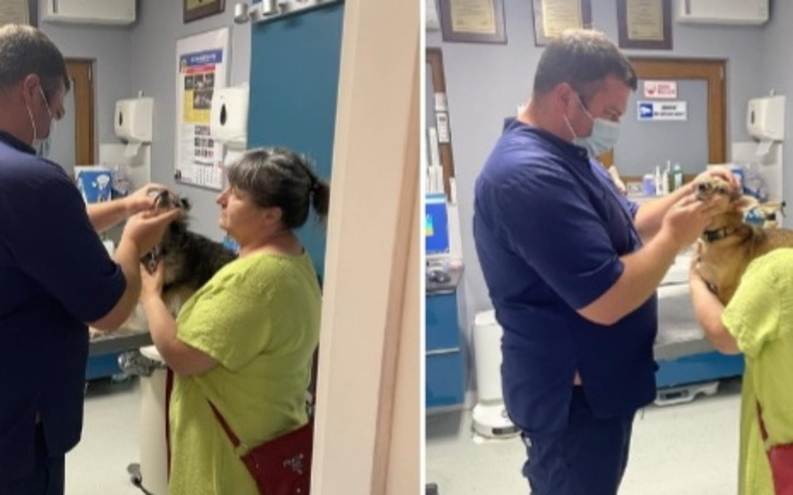 Zbiórka Pilne zabiegi Simonki i Lucynki - zdjęcie główne