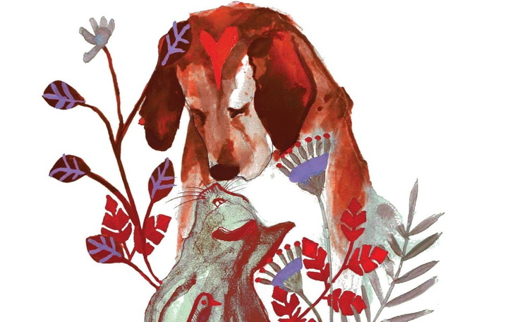 Zbiórka Zwierzaki z TOZ Wrocław - zdjęcie główne