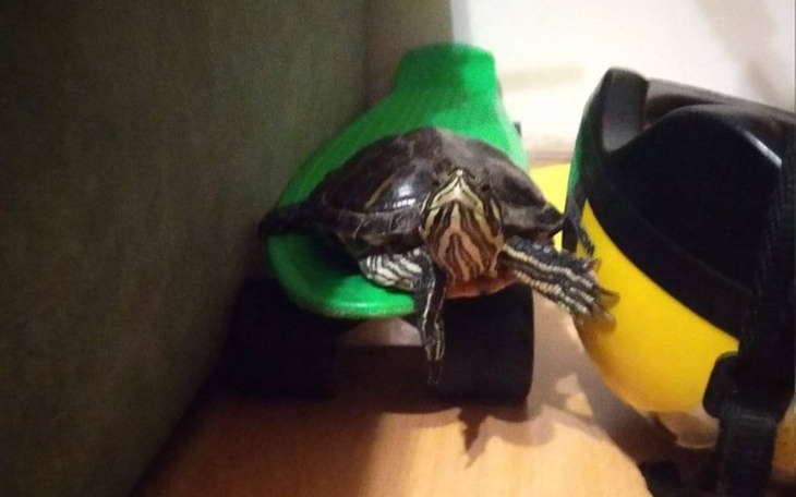 Zbiórka Pomoc Marianowi - zdjęcie główne