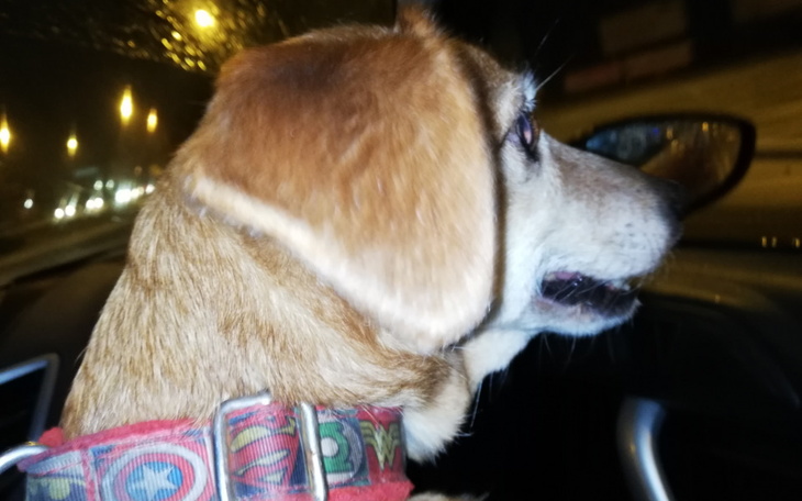 Zbiórka Leki dla Eli - zdjęcie główne