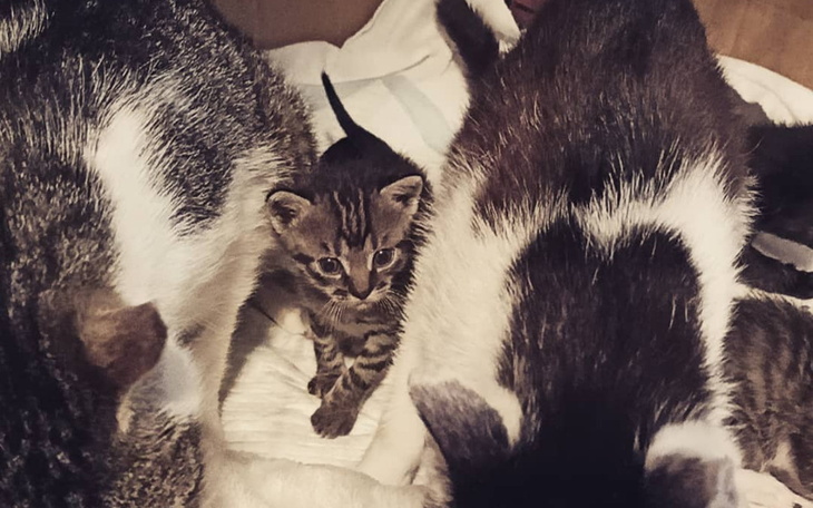 Zbiórka Aktywnie pomagamy - zdjęcie główne