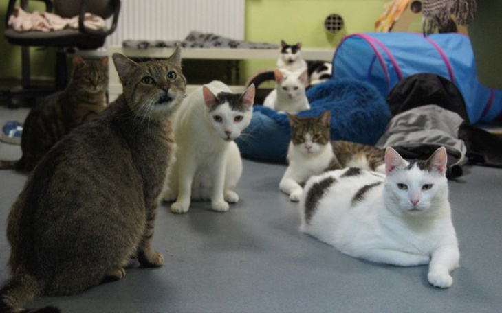 Zbiórka Mruczarnia – maj - zdjęcie główne