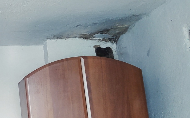 Zbiórka Generalny remont starego domu . - zdjęcie główne