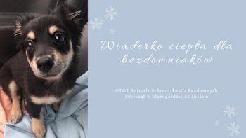 Zbiórka Wiaderko ciepła2 - miniaturka zdjęcia