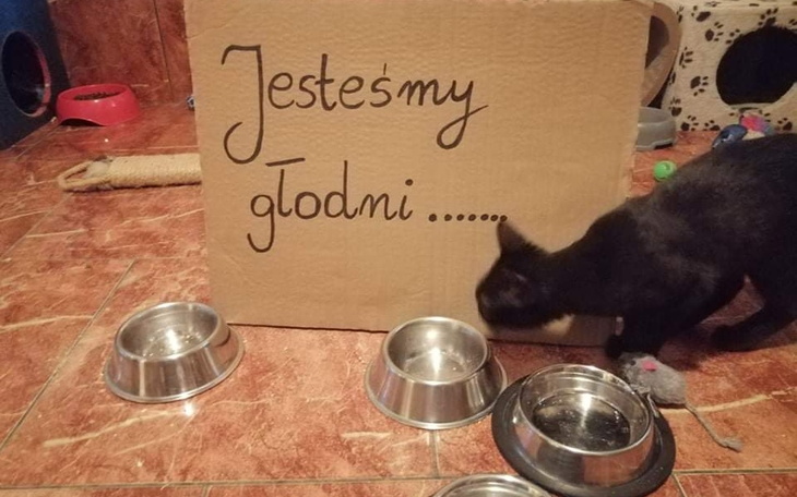 Zbiórka Dotrwać do końca roku - zdjęcie główne