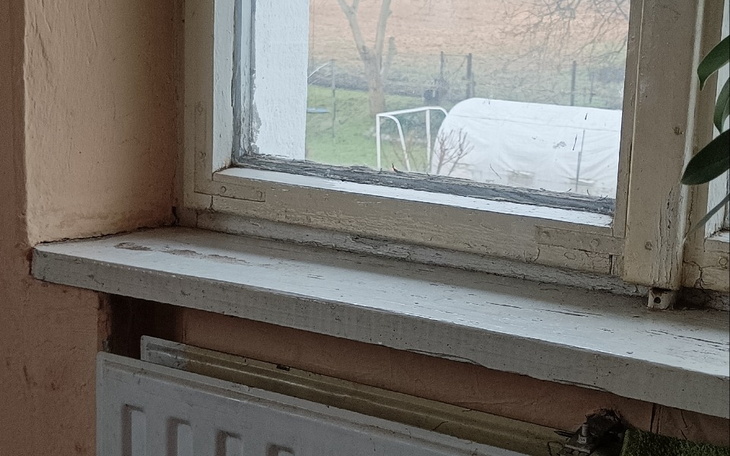 Zbiórka Oczy dla wymarzonego domku - zdjęcie główne